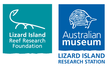 Lizard-Island-Logos